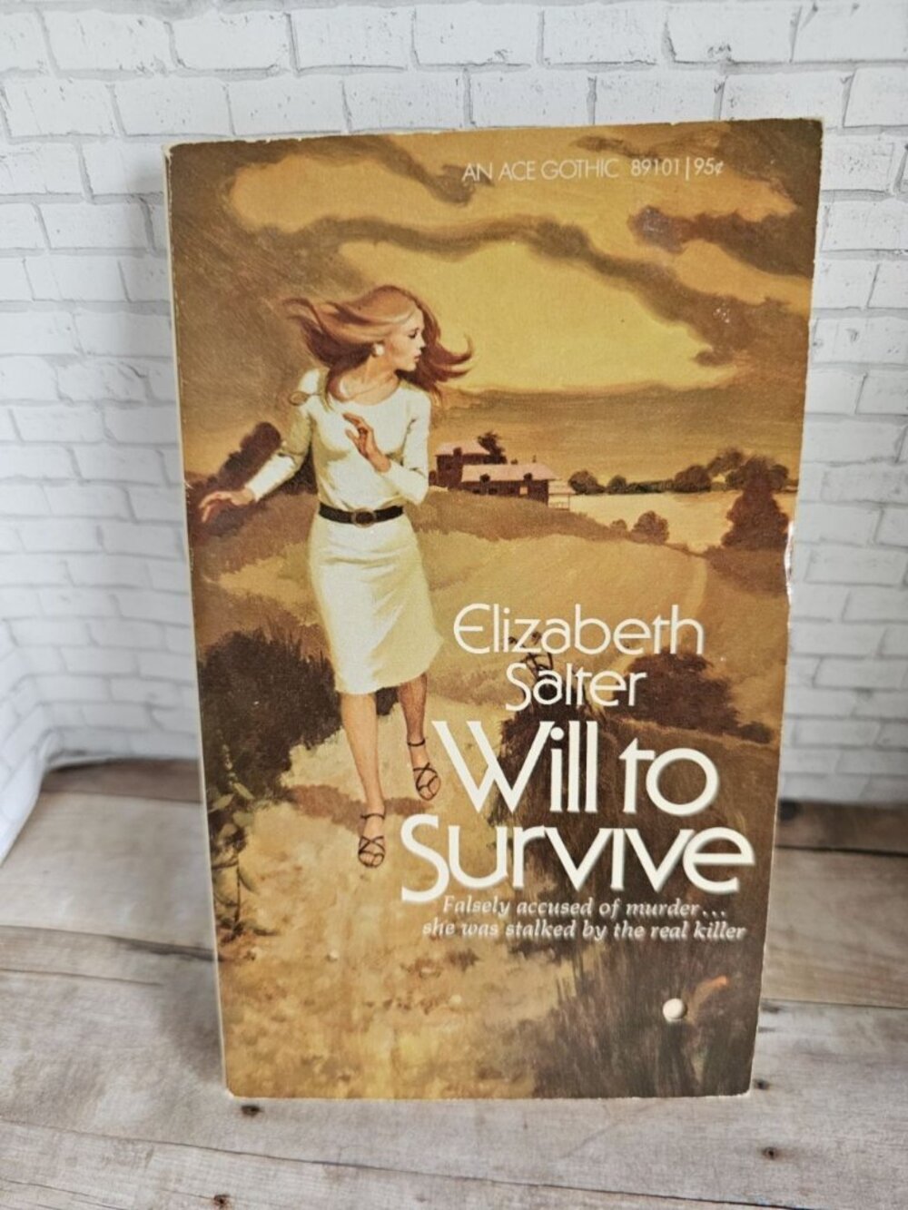 Vintage 1968 Elizabeth Salter Will to Survive Ace Gothic Suspense Paperback
